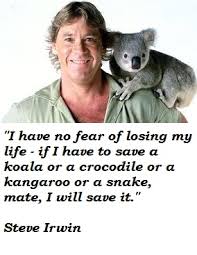 Steve Irwin&#39;s quotes, famous and not much - QuotationOf . COM via Relatably.com