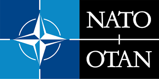 Intergovernmental organization