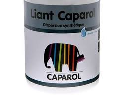 Préparation du support pour l’utilisation du liant Caparol