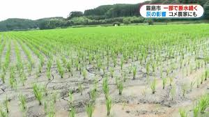 ｄメニューニュース - News update