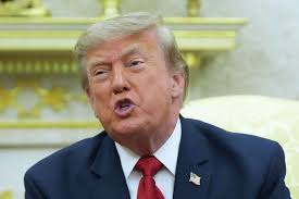 Exclusive: Inside Trump's Shocking ICE U-Turn – How a Deadly Chase Sparked a Policy War That Could Change US Immigration Forever