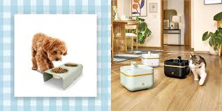 Drew Barrymore Expands Beautiful Line with Pet Products