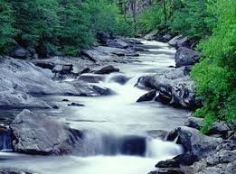 Image result for sungai