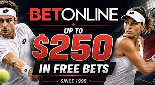 2026 Halle Final Payout Odds - Taylor Fritz v Frances Tiafoe Betting Markets