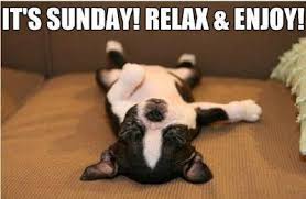 Lazy Sunday Funny Quotes. QuotesGram via Relatably.com