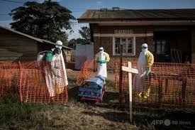 News source: AFPBB News