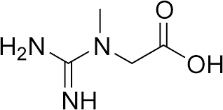 Picture of Creatine transporter defect