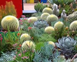 صورة Garden Design 1 by Cactus Landscaping