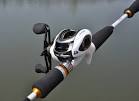 Fishing rods baitcaster