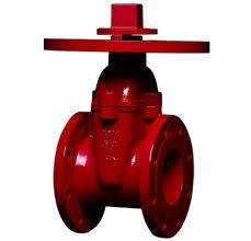 NRS Gate Valve T-1436 | Duyar
