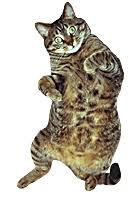 images?q=tbn:ANd9GcRp-K7zYA3D-EabKceYK7omewJJoMhBQpNhyDfZfc5J_9wwxUZd