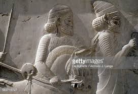 Image result for IRAN HORSES