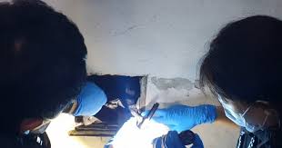 엽기토끼 살인사건 뉴스 이미지