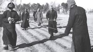 Image result for 土改 杀人 照片