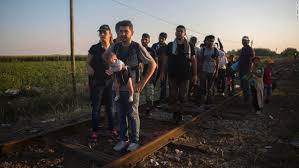 Image result for SYRIA REFUGEES