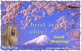 Image result for gifs good morning its Sunday