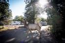 Shady Dell RV Park (Bisbee, AZ) - Campground Reviews - TripAdvisor