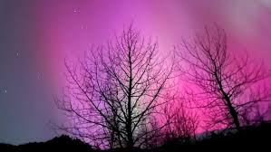 Northern lights could be on display across several states this weekend. Here's where.