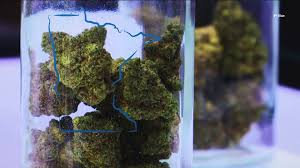 Anoka Breaks Ground on Municipal Cannabis Dispensary