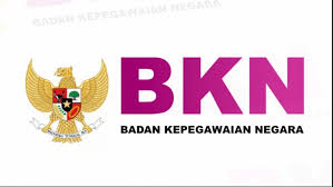 Pengumuman Hasil Seleksi PPPK 2024 Tahap 2: BKN Imbau Peserta Cek Berkala, Ini Caranya