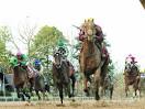 20smarty jones stakes far right