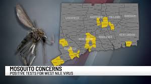 WTNH.com - News update