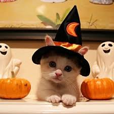 「ハロウィン画像」の画像検索結果