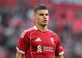 David Lynch - Liverpool FC - News update