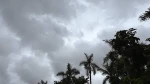 El Sol de México - News update