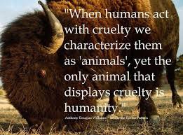 Animal Cruelty Quotes on Pinterest | Animal Rights Quotes, Stop ... via Relatably.com