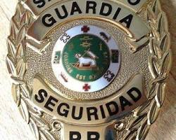 Image of Insignias de guardia de seguridad