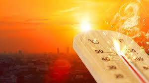 Heatwave Alert: വേനലില്‍ ചുട്ടുപൊളളി രാജ്യം; വിവിധ സംസ്ഥാനങ്ങളില്‍ ജാഗ്രത മുന്നറിയിപ്പുമായി കേന്ദ്ര കാലാവസ്ഥ വകുപ്പ്