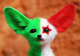 Résultat de recherche d'images pour