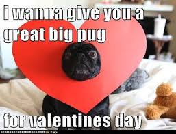 Image result for valentine day meme