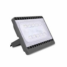 Đèn led Pha 30W PHILIP BVP171 LED26 WB GREY CE
