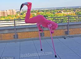 Résultat de recherche d'images pour "1 legged athlete"