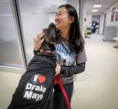 Patriots HC Mike Vrabel changing culture for dogs in shelters, Robert Kraft’s wife says