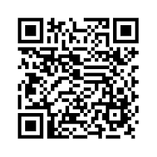 Xinhua Español