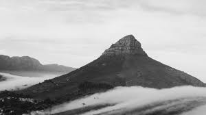 Cape Town ETC - News update