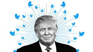 Image result for TRUMP ALWAYS TWEETING