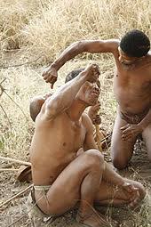 Image result for kalahari desert people oldest