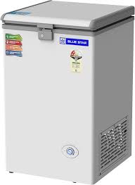 Blue Star CF2-90NEYW Deep Freezer