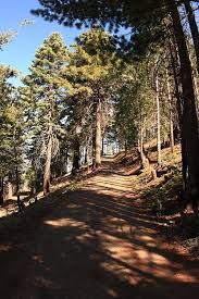 aboutboulder.com - News update