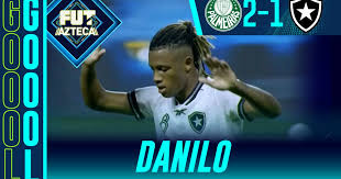 ¡GOL DE Danilo ! | Palmeiras 2 - 1 Botafogo | Brasileirao | J6