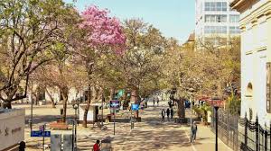 Córdoba: Domingo soleado, ¿se viene la primavera definitiva? - Imagen principal del artículo