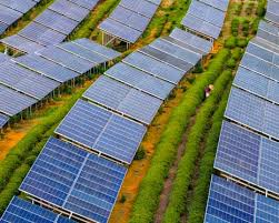 Is solar power leading the clean energy revolution in 2025?