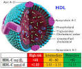 HDL Cholesterol: The Test