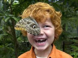 ... corak unik dari kupu-kupu dengan senyuman ceria anak berambut pirang itu membuat foto ini sangat ps sekali gan hahah , seperti mata yang unik ya gan! - a98977_timing_11