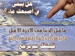 “ما لي وما للدّنيا...” Images?q=tbn:ANd9GcRqwS-eOQTv9x5FpCHPz9iEB_jSzB4EET2I3Hg70GCvextvfOO8