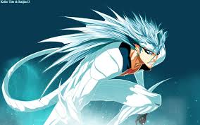 Resultado de imagem para grimmjow